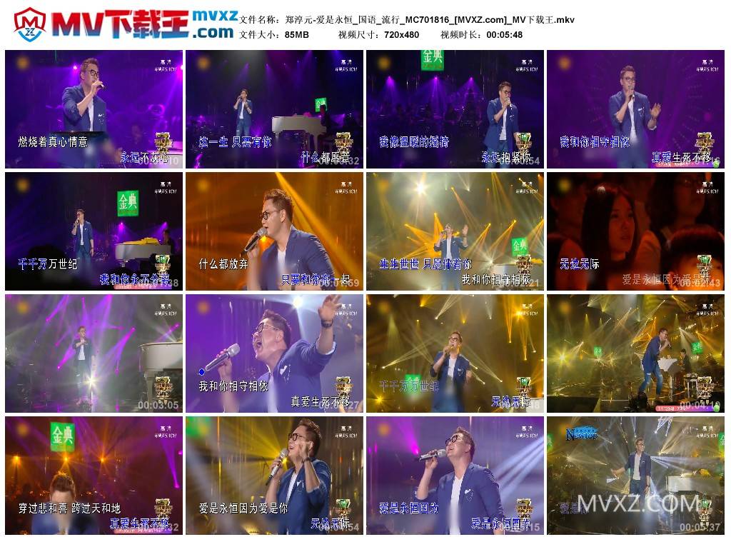 郑淳元-爱是永恒_国语_流行_MC701816